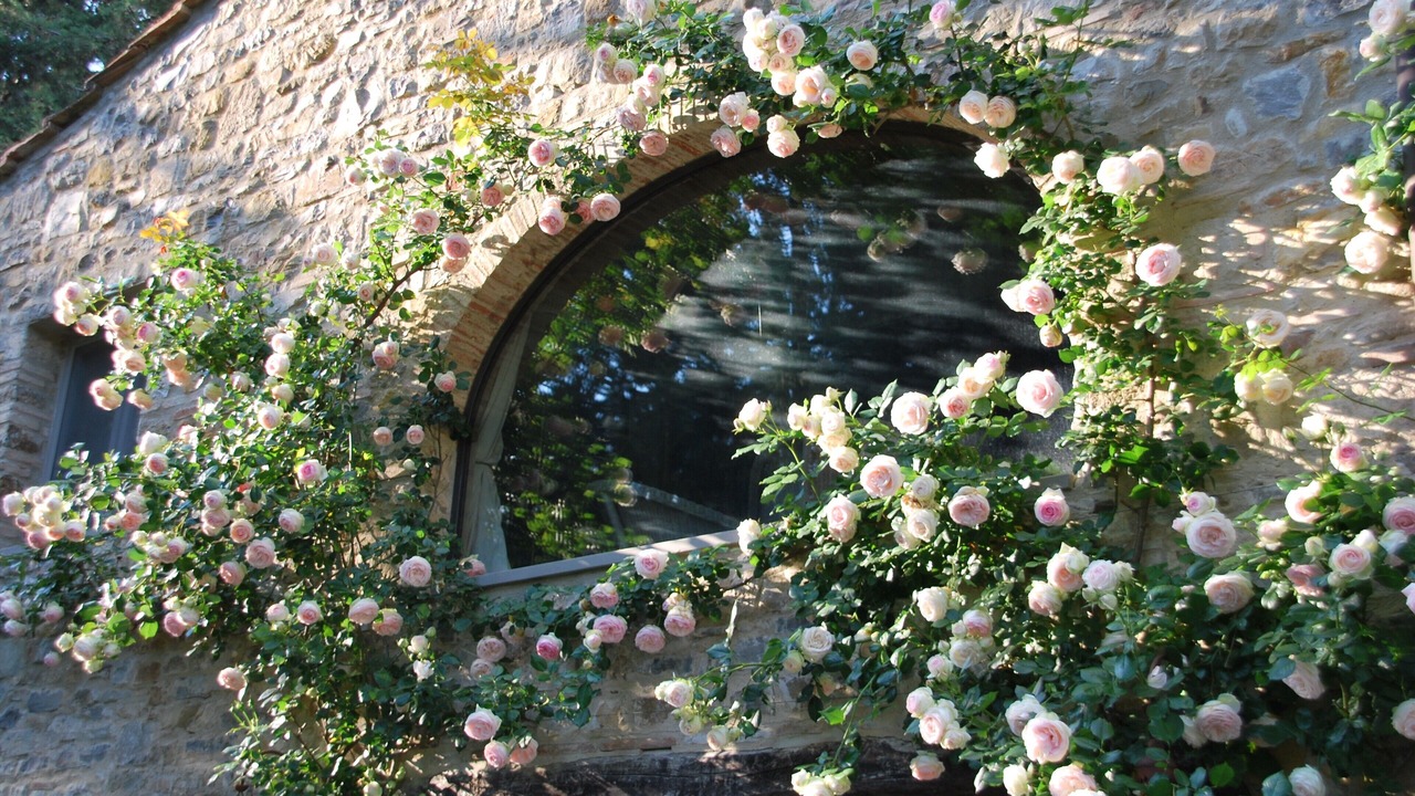 Photo of Outdoor in Greve in Chianti