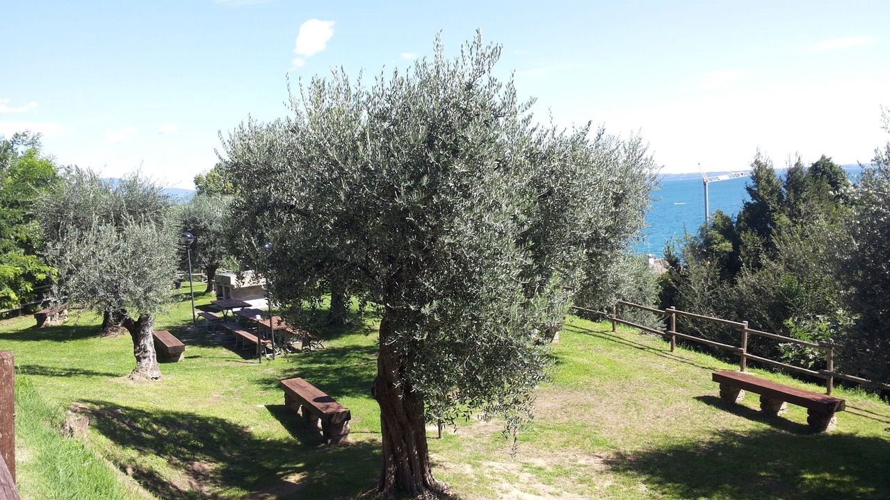 Photo of Outdoor in Manerba del Garda