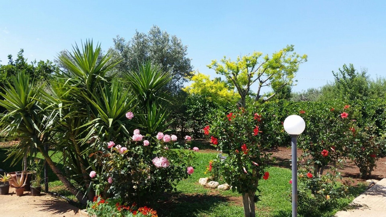Photo of Outdoor in Floridia