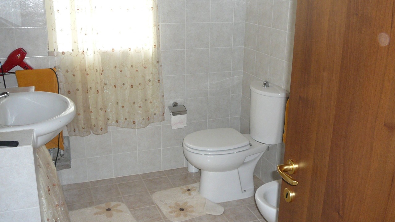 Photo of Bathroom in Reitani