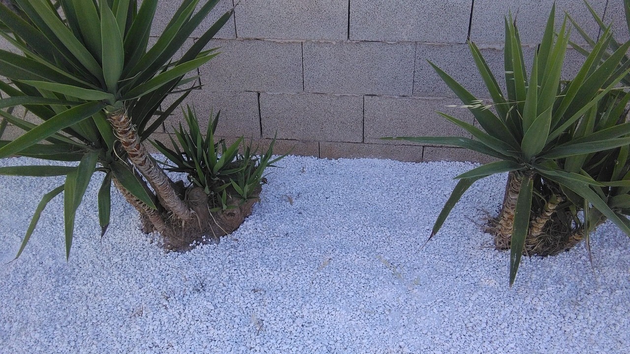 Photo of Outdoor in Reitani