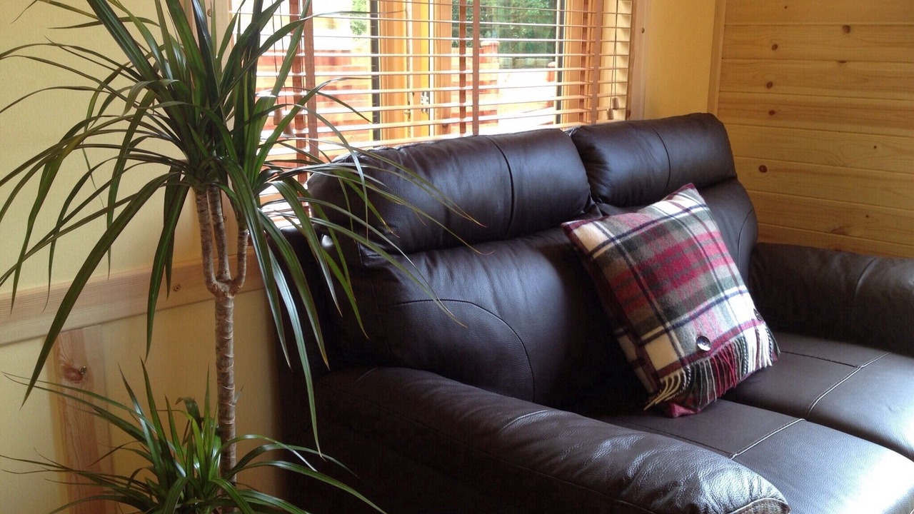 Photo of Livingroom in Rashfield