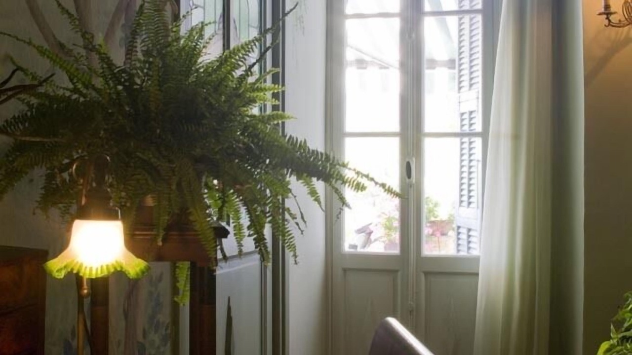 Photo of Bedroom in Civezza