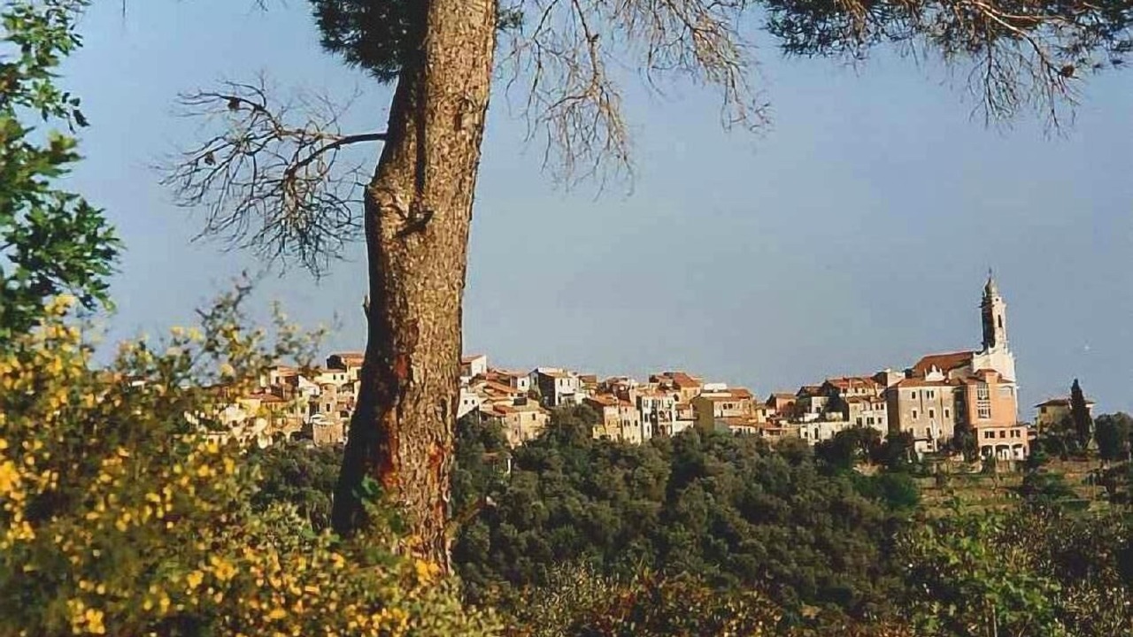 Photo of Outdoor in Civezza