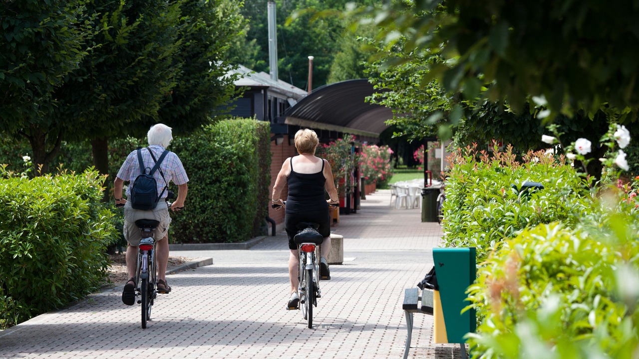 Photo of Outdoor in Bologna Fiere District