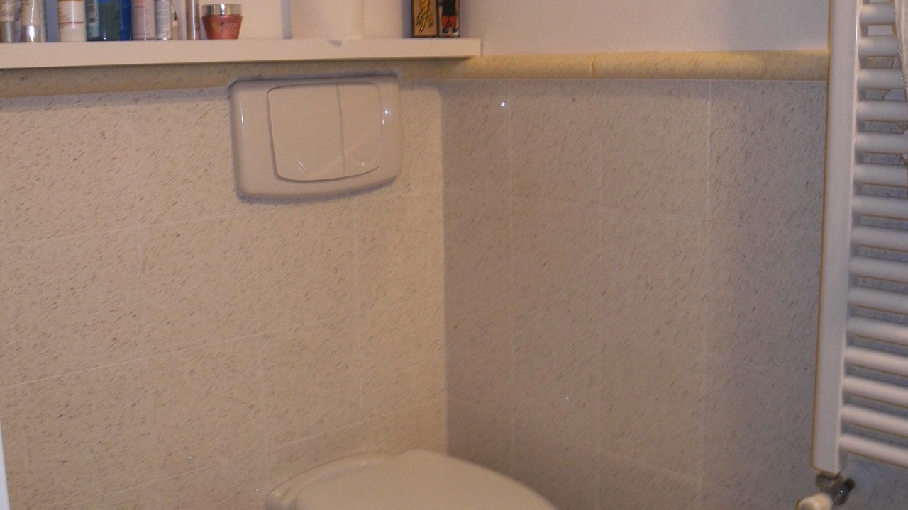 Photo of Bathroom in Moneglia