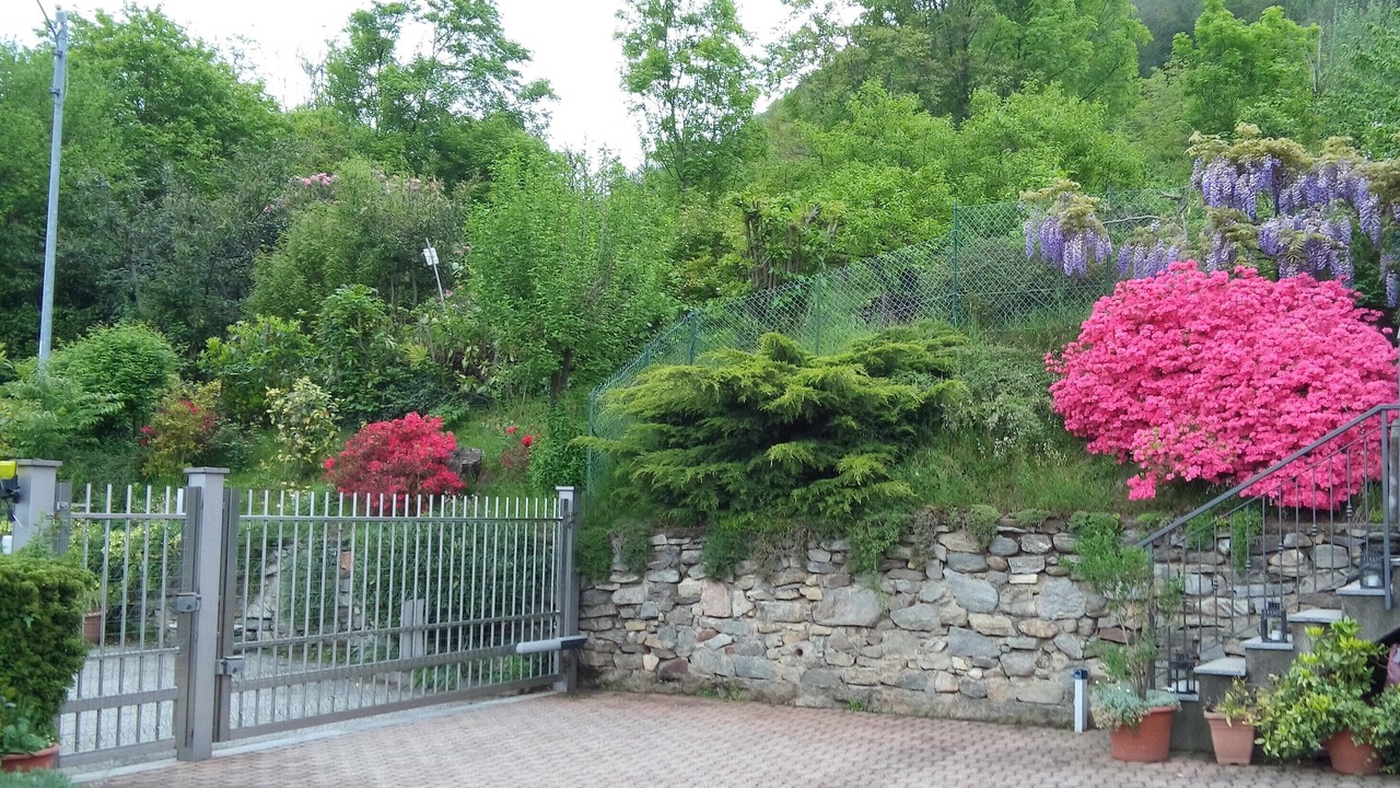 Photo of Outdoor in Crabbia