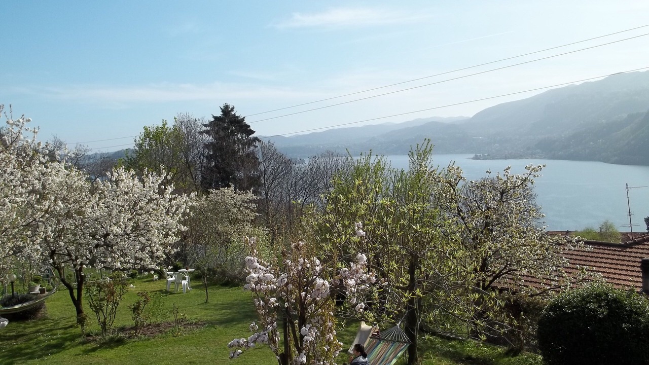 Photo of Outdoor in Crabbia