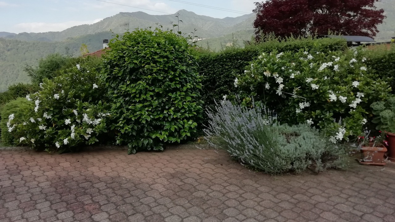 Photo of Outdoor in Crabbia