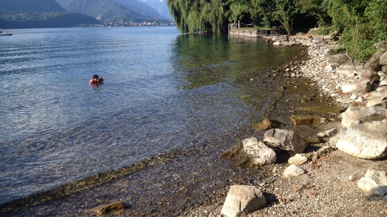 Photo of Others in Crabbia