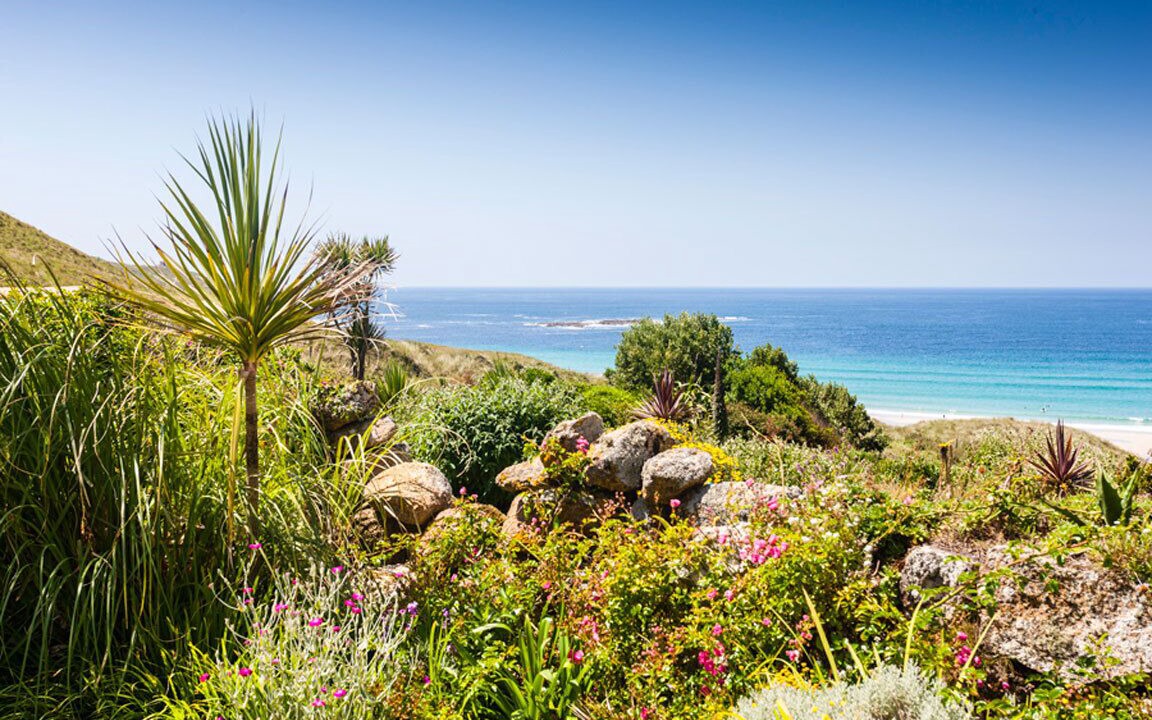 Photo of Others in Sennen Cove