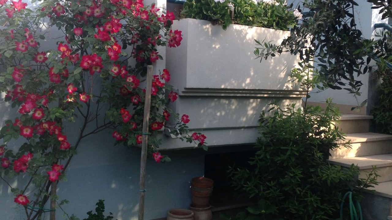 Photo of Outdoor in Fano