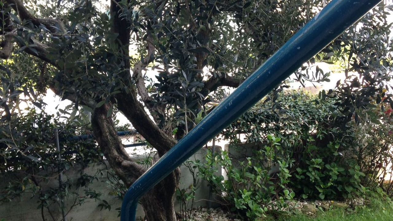 Photo of Outdoor in Fano