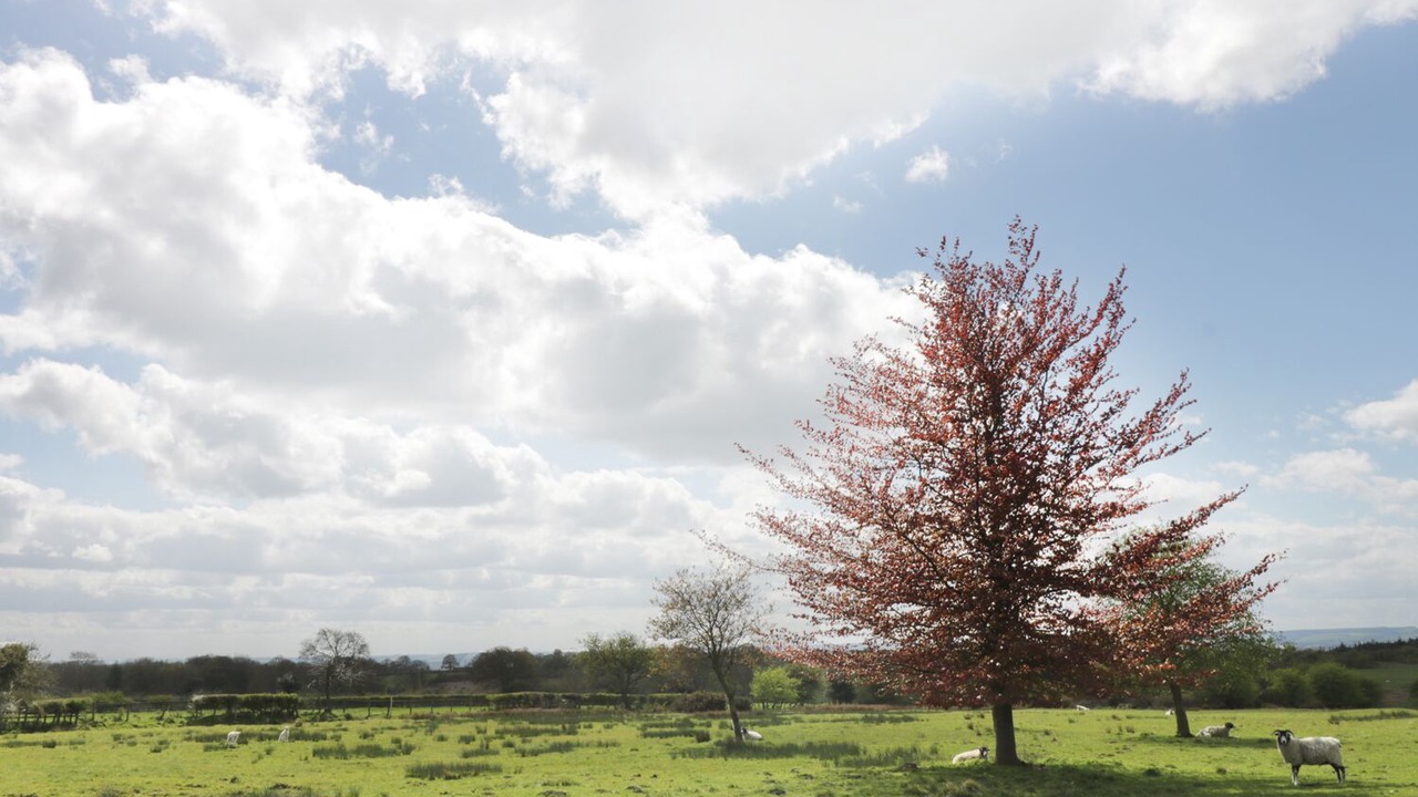 Photo of Others in Spaunton