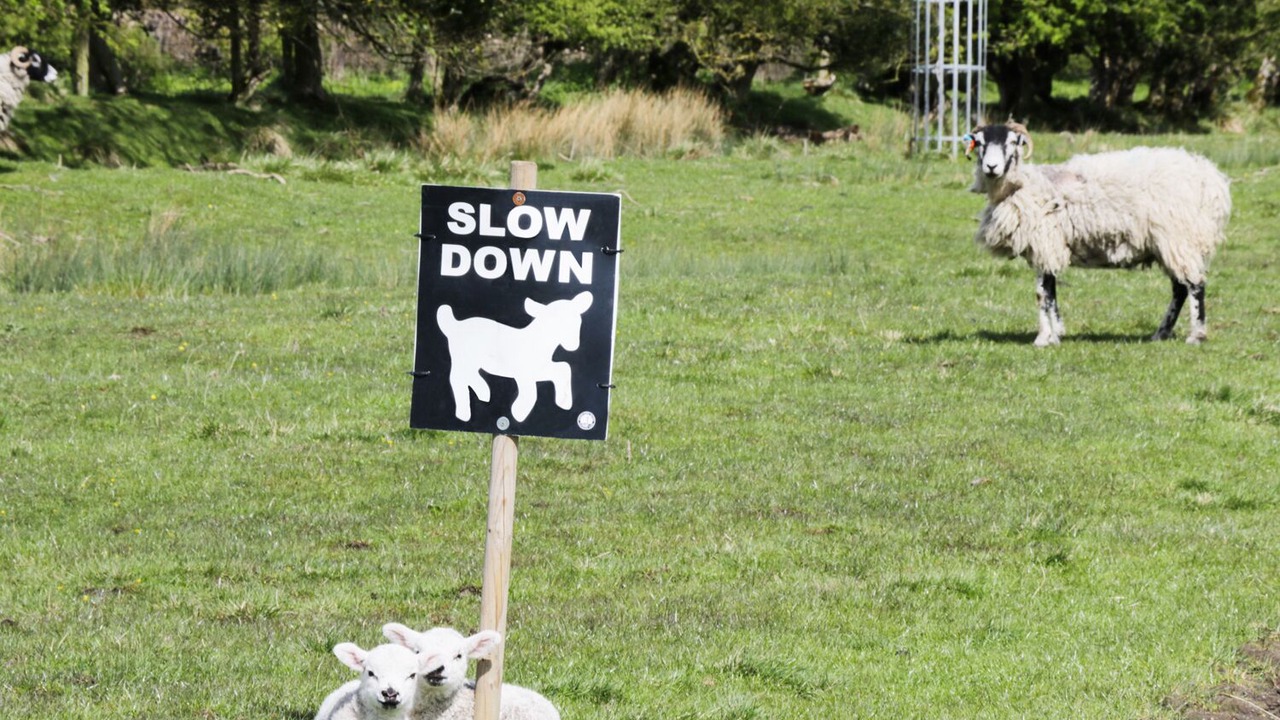Photo of Outdoor in Spaunton