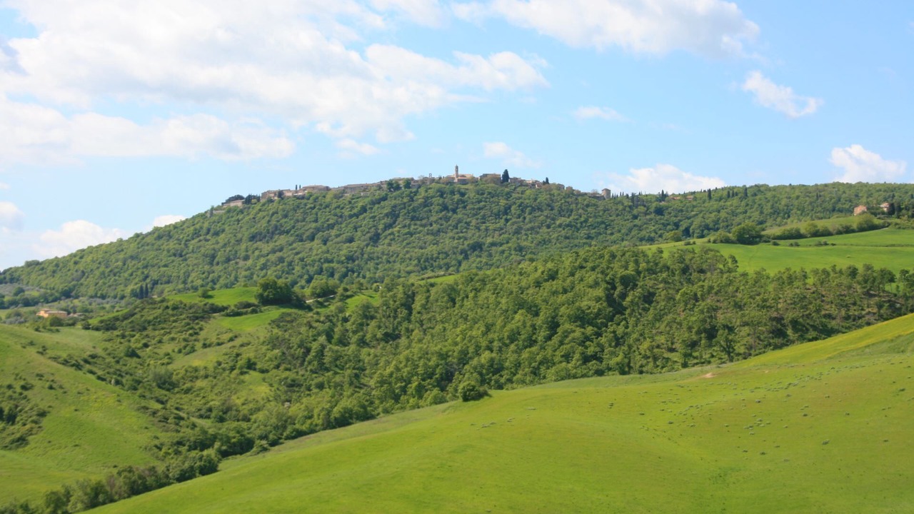 Photo of Others in Torrita di Siena