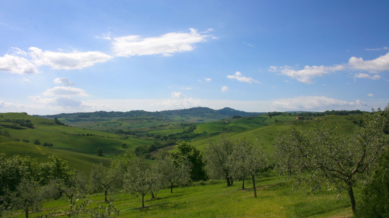 Photo of Others in Torrita di Siena