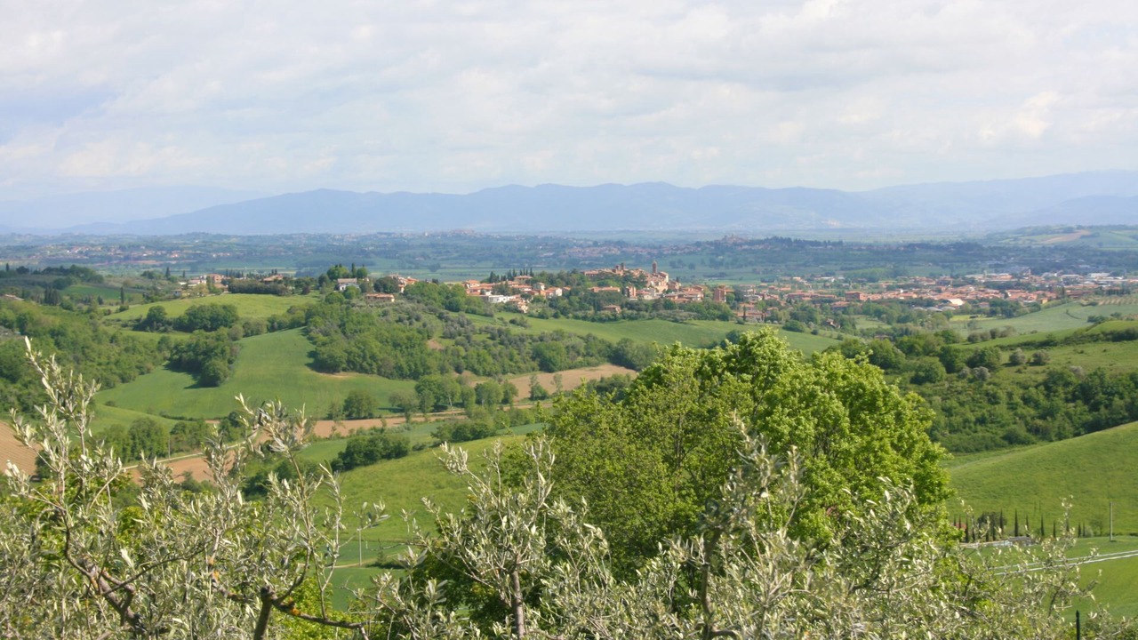 Photo of Others in Torrita di Siena