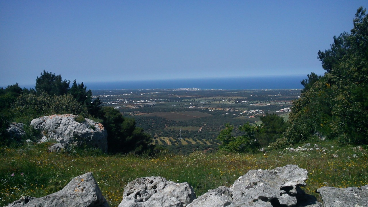 Photo of Others in Cisternino