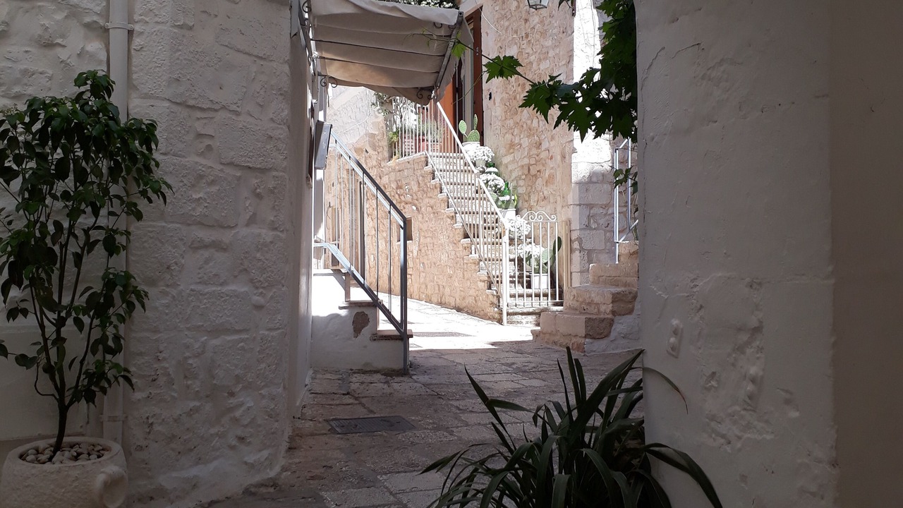 Photo of Others in Cisternino