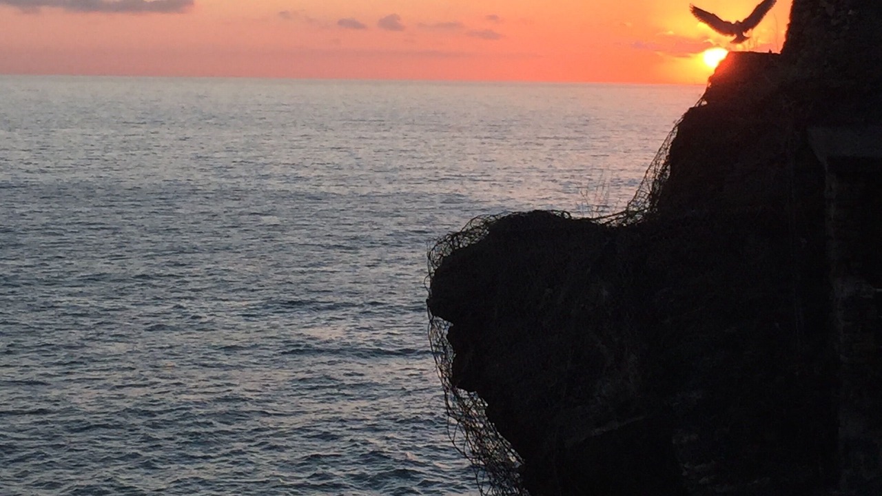 Photo of Others in Vernazza