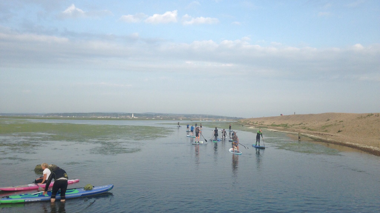 Photo of Others in New Forest District
