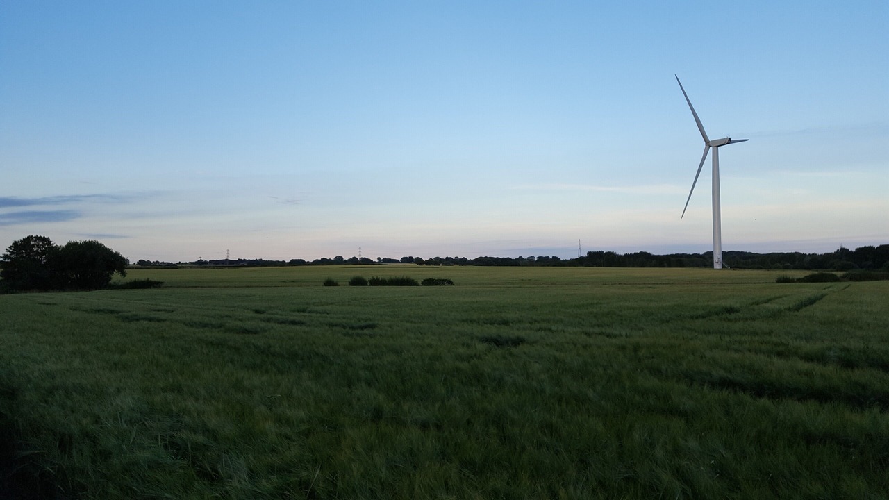 Photo of Outdoor in Pevensey