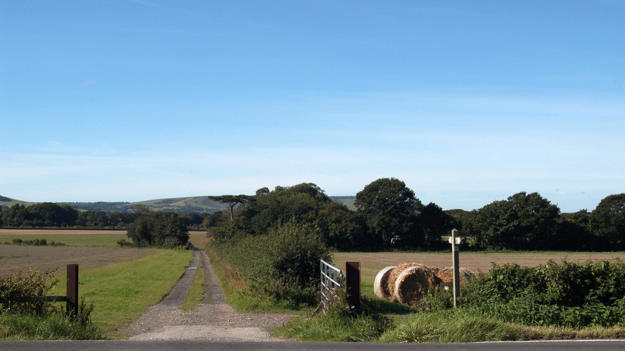 Photo of Others in Pevensey