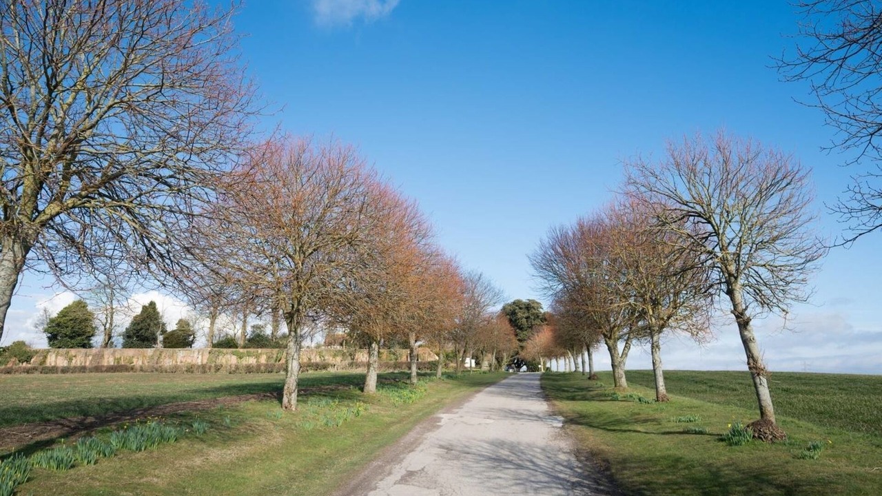 Photo of Others in Pevensey