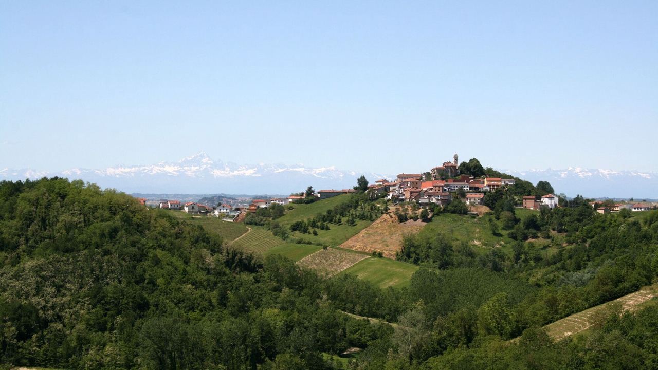 Photo of Others in Montegrosso dʼAsti