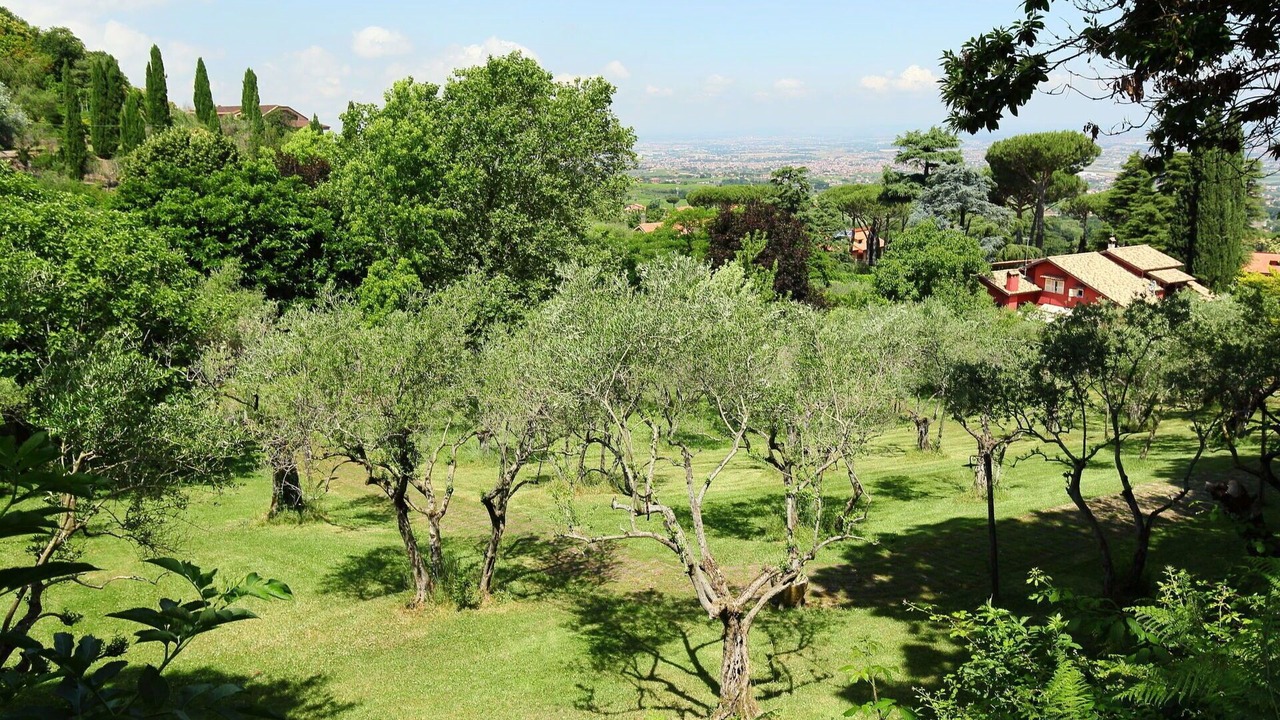Photo of Others in Monte Compatri