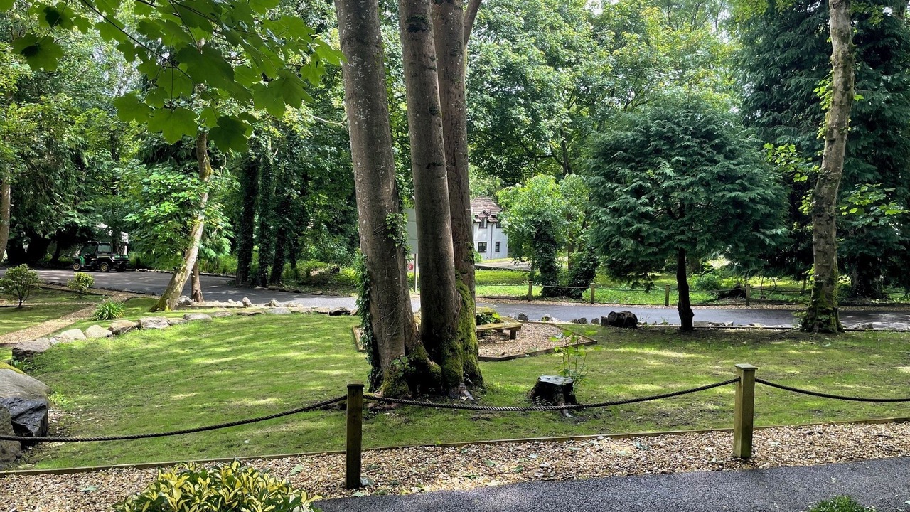 Photo of Others in Lelant