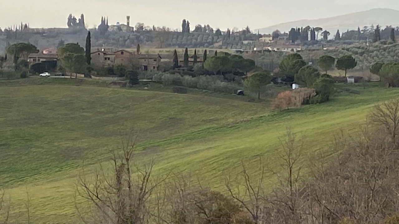 Photo of Others in Scandicci