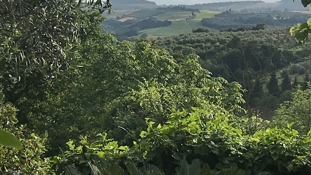 Photo of Outdoor in Scandicci
