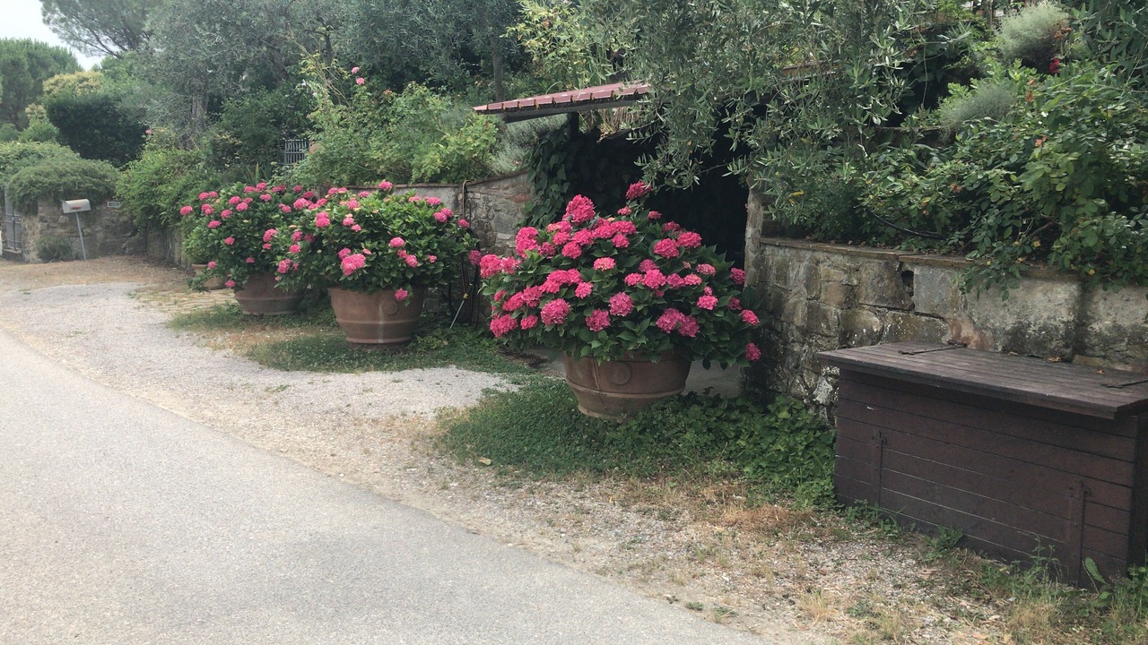 Photo of Outdoor in Scandicci