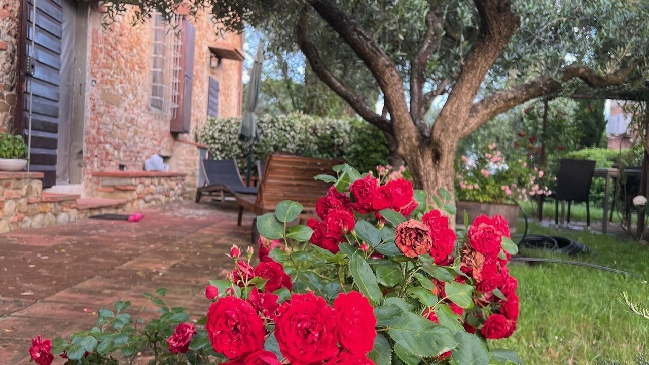 Photo of Outdoor in Scandicci