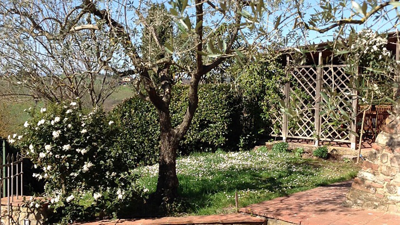 Photo of Outdoor in Scandicci