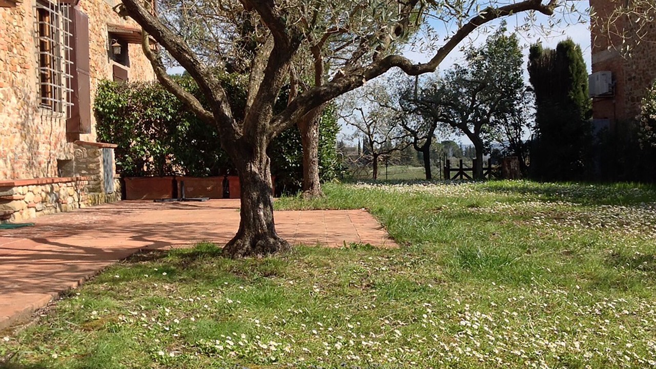 Photo of Outdoor in Scandicci