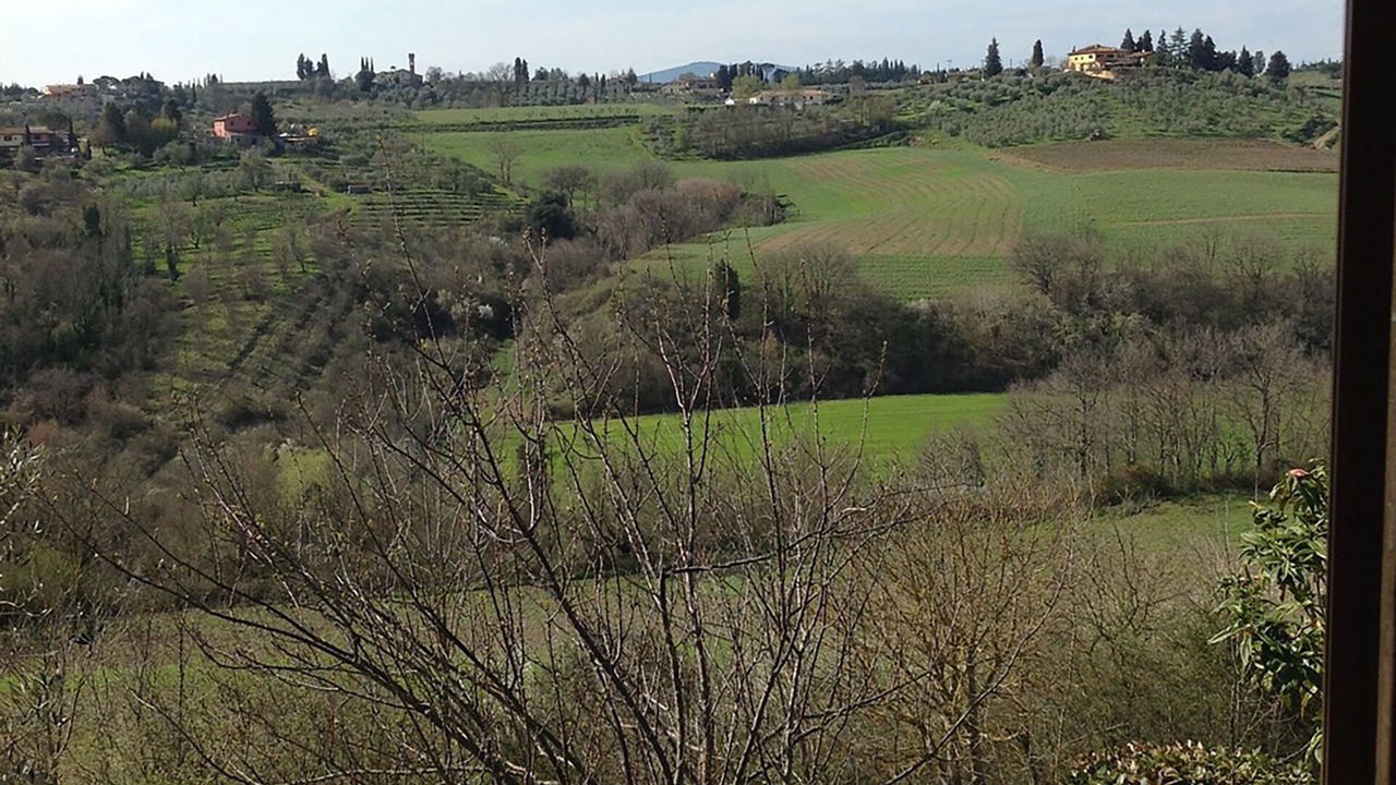Photo of Others in Scandicci