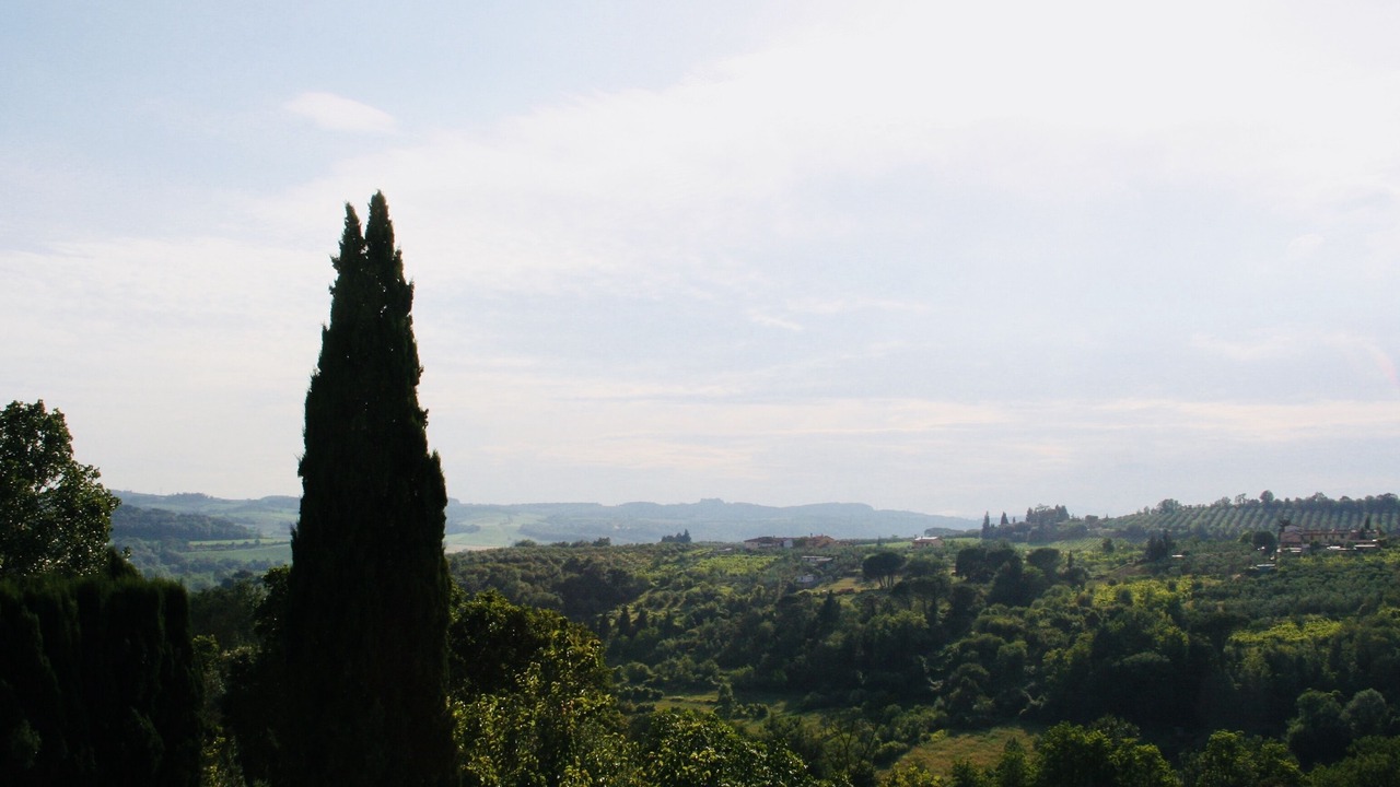 Photo of Others in Scandicci