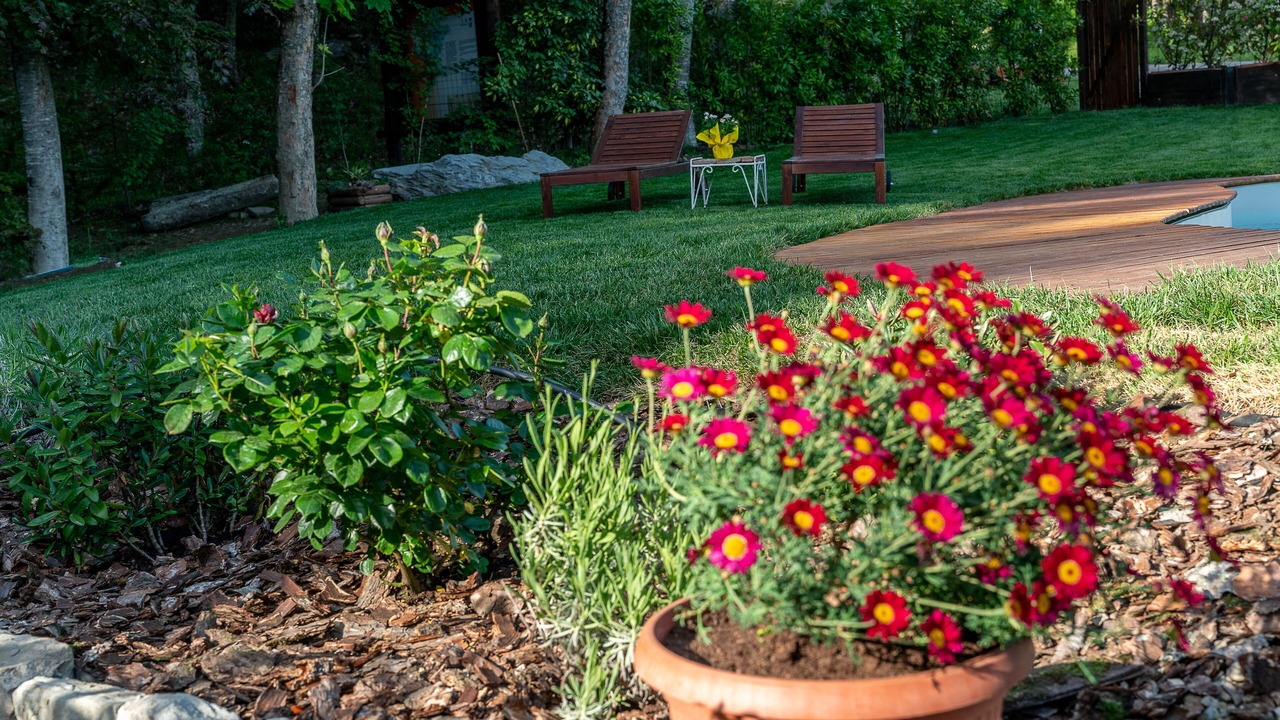 Photo of Outdoor in Poppi