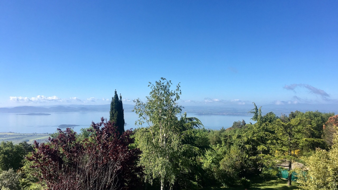 Photo of Outdoor in Tuoro sul Trasimeno