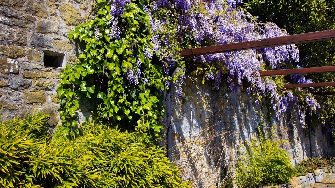 Photo of Outdoor in Tuoro sul Trasimeno