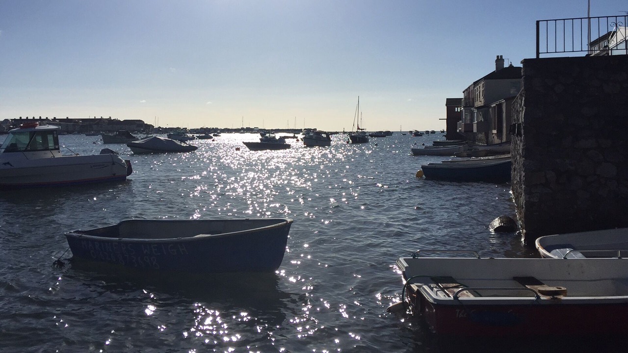 Photo of Others in Shaldon