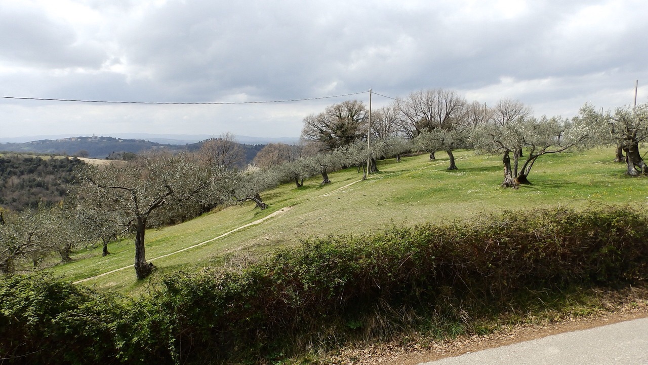 Photo of Outdoor in Gualdo Cattaneo