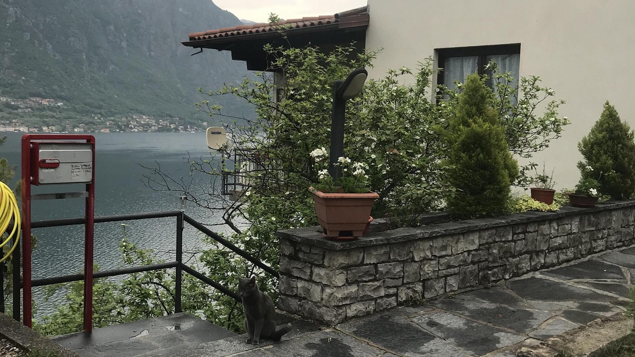 Photo of Outdoor in Claino Con Osteno