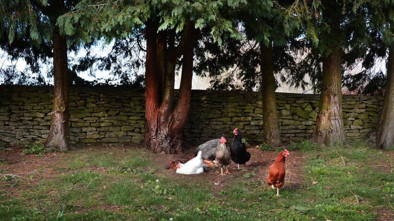 Photo of Outdoor in Cassington