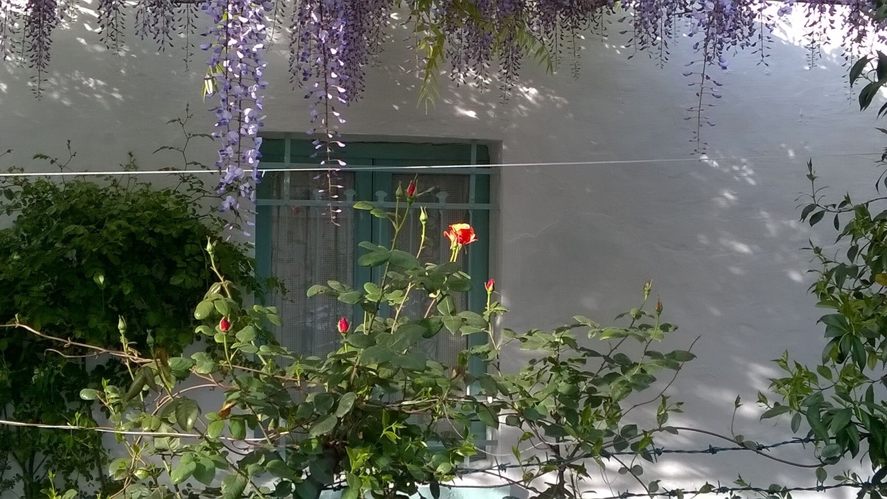 Photo of Outdoor in Rivabella