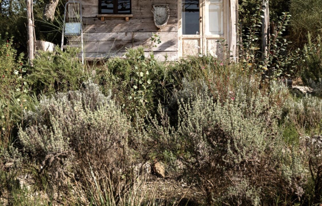 Photo of Outdoor in Castiglione d'Orcia