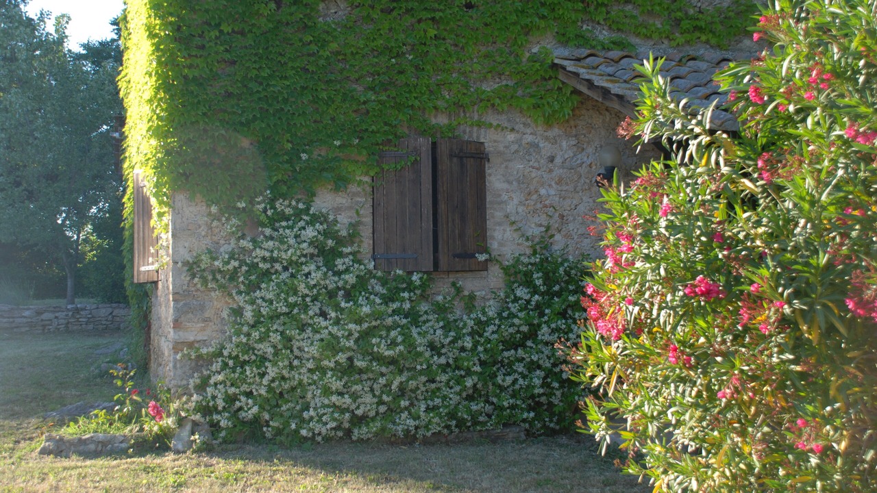 Photo of Outdoor in Amelia